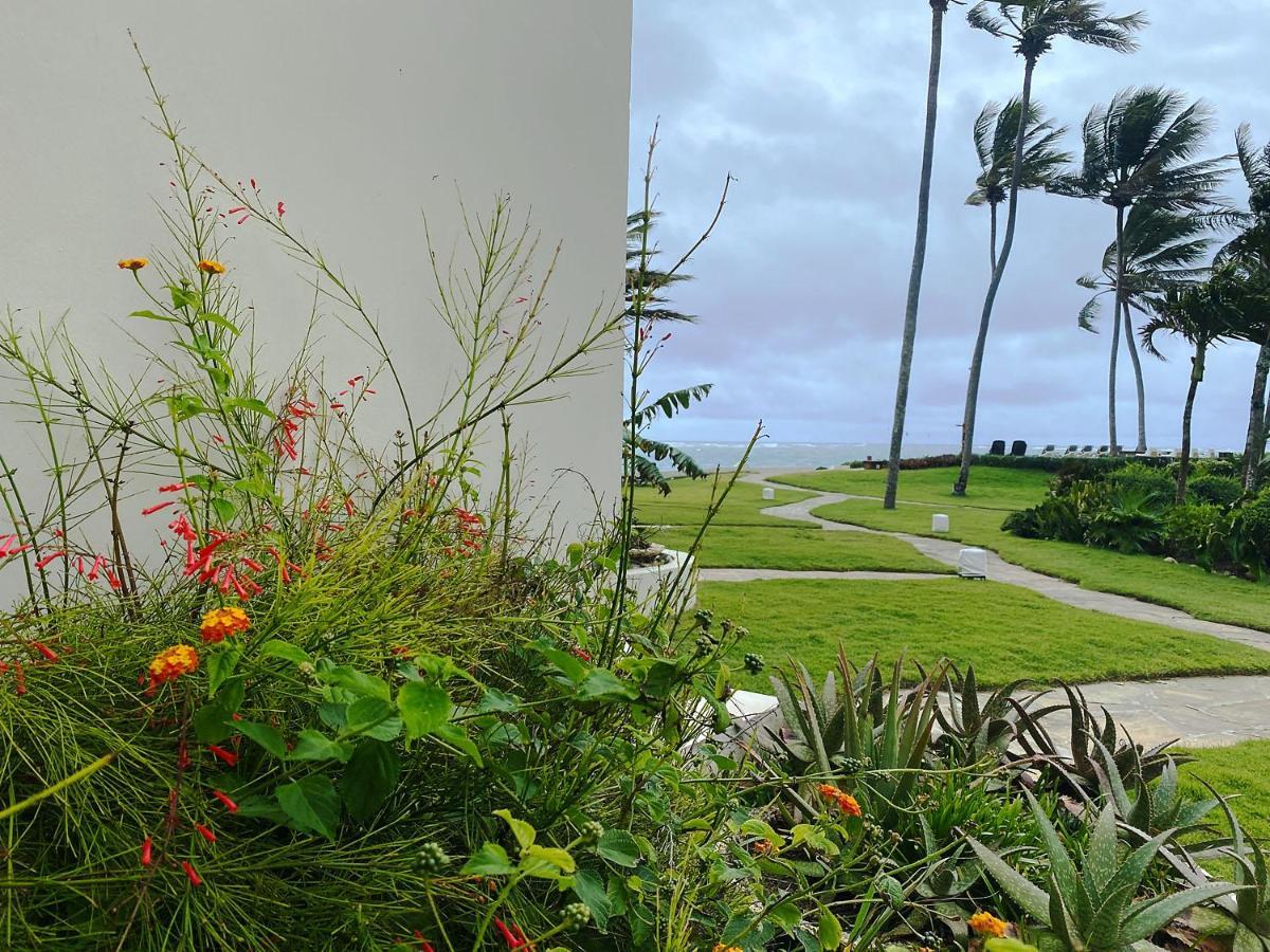 Cabarete Beachfront Condos At Nanny Estate C-5 Exteriör bild